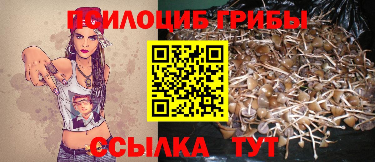 Псилоцибиновые грибы GOLDEN TEACHER Майкоп