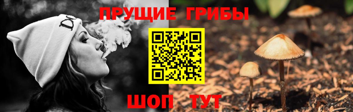 Галлюциногенные грибы GOLDEN TEACHER  Псилоцибиновые грибы мухоморы  Вход с VPN  Майкоп 